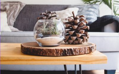 New Interior Design Trends and Terms for 2024 