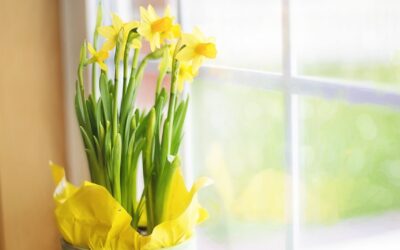 Seasonal Home Decor Tips and Tricks